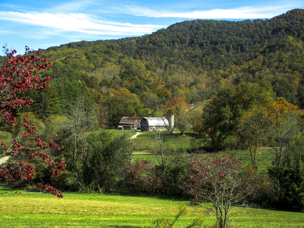Deal img 0235 0 1 3 Appalachian Farm Weddings Deal img 0235 0 1 3 Appalachian Farm Weddings