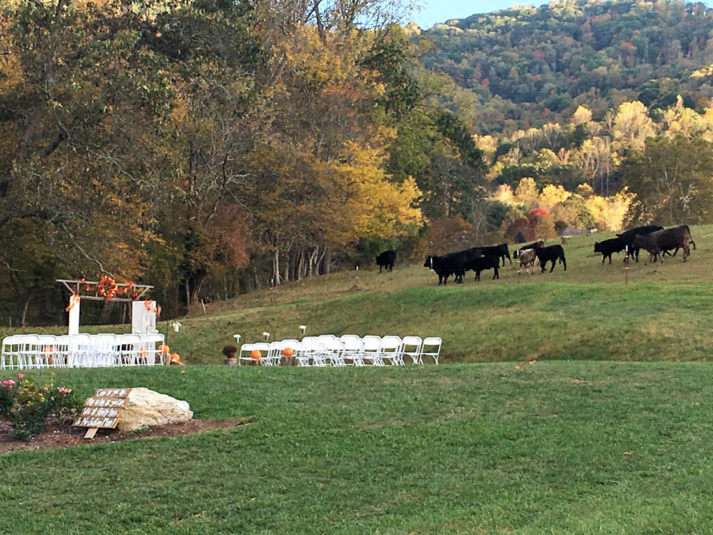 Deal img 1047 Appalachian Farm Weddings